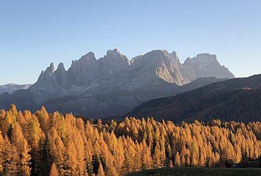 Apartamncie - Moena - Extras - Photo ID 2764