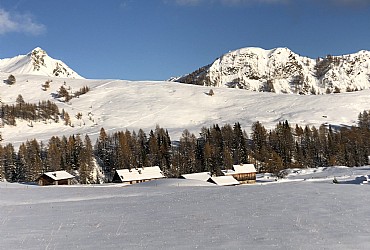 Apartamncie - Moena - Extras - Photo ID 2765