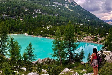 Wohnung - Moena - Verschiedenes - Photo ID 2767