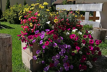 Appartamento a San Giovanni di Fassa - Pozza - Giardino - ID foto 2845