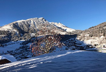 Appartamento a Moena - Panorama - ID foto 2894