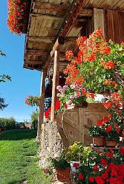 Ciasa Tamion - 