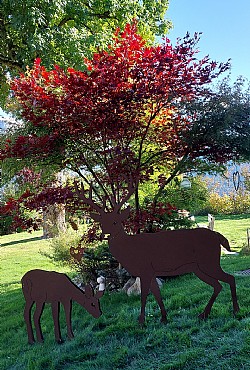 Appartamento a San Giovanni di Fassa - Vigo - Giardino - ID foto 2950