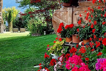 Apartamncie - San Giovanni di Fassa - Vigo - Garden - Photo ID 2954