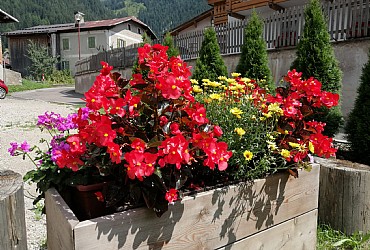 Bytě - San Giovanni di Fassa - Pozza - Zvenčí - v létě - Photo ID 2989