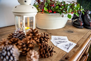 Appartamento a Canazei - Interni - ID foto 3005