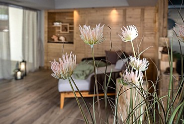 Appartamento a Campitello di Fassa - Wellness - ID foto 3025