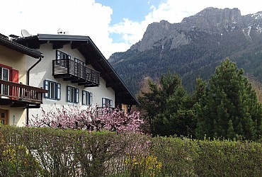 Appartamento a Soraga di Fassa - Estate - ID foto 3061