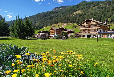 Apartmanu - San Giovanni di Fassa - Pera - Vrt - Photo ID 3104