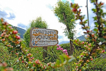 Appartamento a Moena - Giardino - ID foto 3139