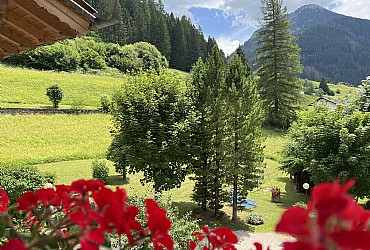 Apartment in Moena - Garden - Photo ID 3144