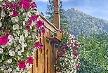 Appartamento a Moena - Estate - ID foto 3148