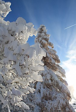 Bytě - San Giovanni di Fassa - Pozza - Zvenčí - v zimě - Photo ID 3238