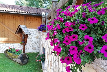 Wohnung - San Giovanni di Fassa - Pozza - Außenansicht Sommer - Photo ID 3244