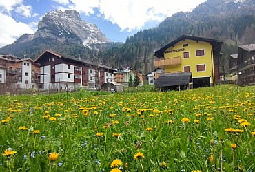 Appartamento a Alba di Canazei - Estate - ID foto 3250