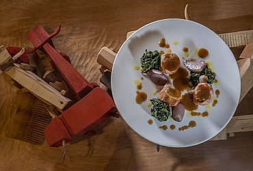 Services in Moena - Gallery - Photo ID 3374