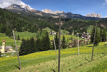 Services in Moena - Gallery - Photo ID 3498