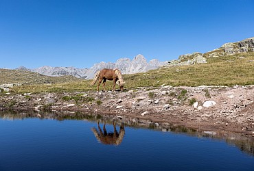 Services in Moena - Gallery - Photo ID 3505