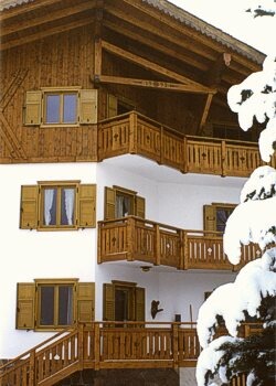квартира - Moena - Winter - Photo ID 356