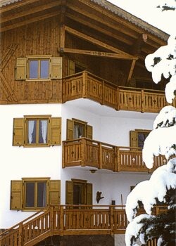 Wohnung - Moena - Außenansicht Winter - Photo ID 356