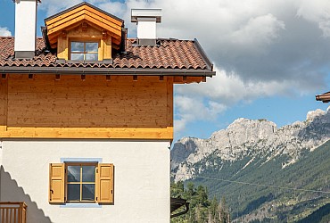 Alpinia - 