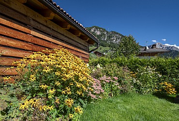 Appartamento a Campitello di Fassa - Giardino - ID foto 3588