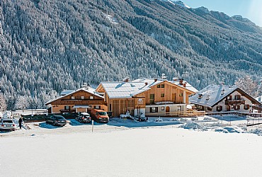 Majon Ladina - 
