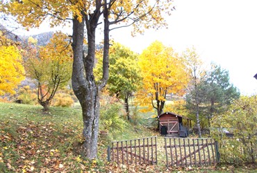 Maso Val  -  mansarda - 