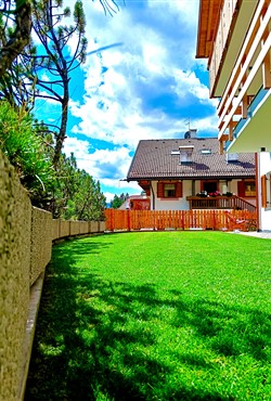Majon Ladina - 
