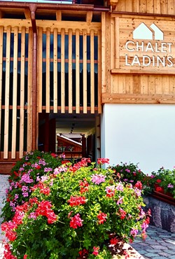 Majon Ladina - 