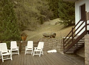 Appartamento a Moena - Giardino - ID foto 51