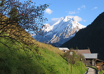 Appartamento a Campitello di Fassa - Panorama - ID foto 921