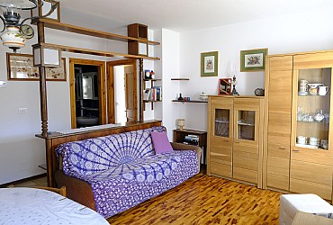 Apartment in Soraga di Fassa - Type 1 - Photo ID 10071