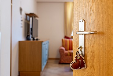 Wohnung - Canazei - Appartamento 1 - Photo ID 10178