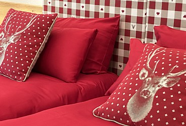 Apartamncie - Moena - La casa di montagna - Photo ID 10303