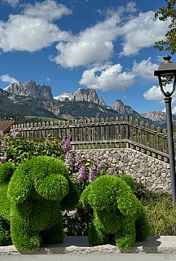 Appartamento a Moena - La casa classica - ID foto 10493