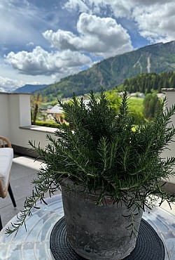 Ciasa Lino Defrancesco - 