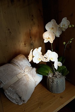 Appartamento a Moena - La casa classica - ID foto 10499