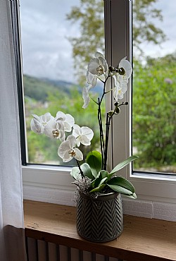 Appartamento a Moena - La casa classica - ID foto 10500