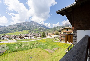 Appartamento a Moena - Tipologia 1 - ID foto 11148