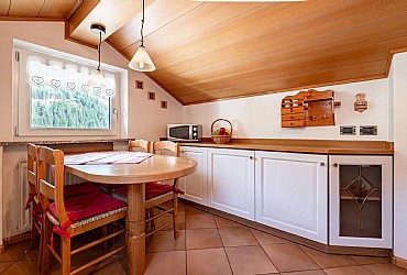 Ciasa Elsa Mountain Apartments - 