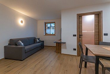 Alpinia - 