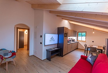 Alpinia - 