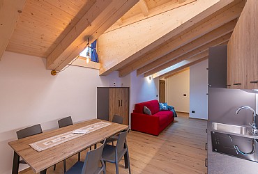 Alpinia - 