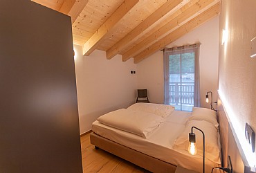 Alpinia - 