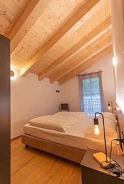 Alpinia - 
