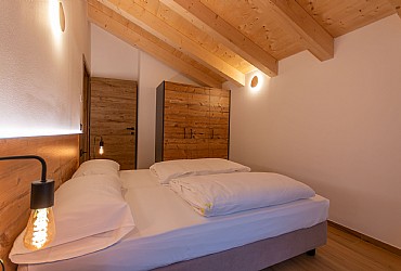 Alpinia - 