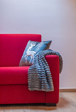 Alpinia - 