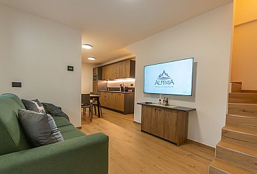 Alpinia - 