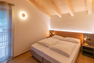 Alpinia - 